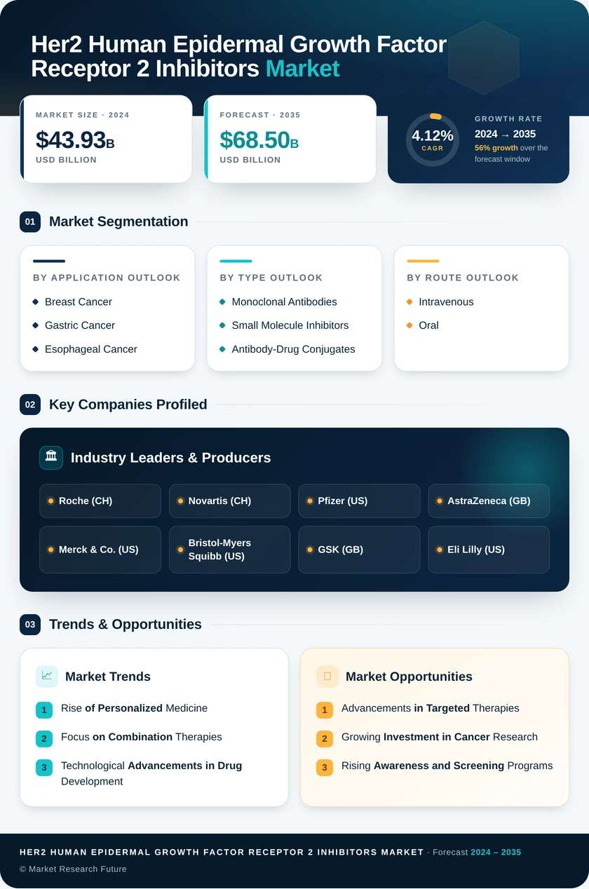 HER2 Human Epidermal Growth Factor Receptor 2 Inhibitors Market Research Report – Forecast till 2035 Infographic