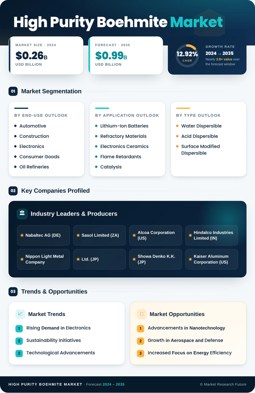 High-Purity Boehmite Market Research Report - Forecast till 2035 Infographic