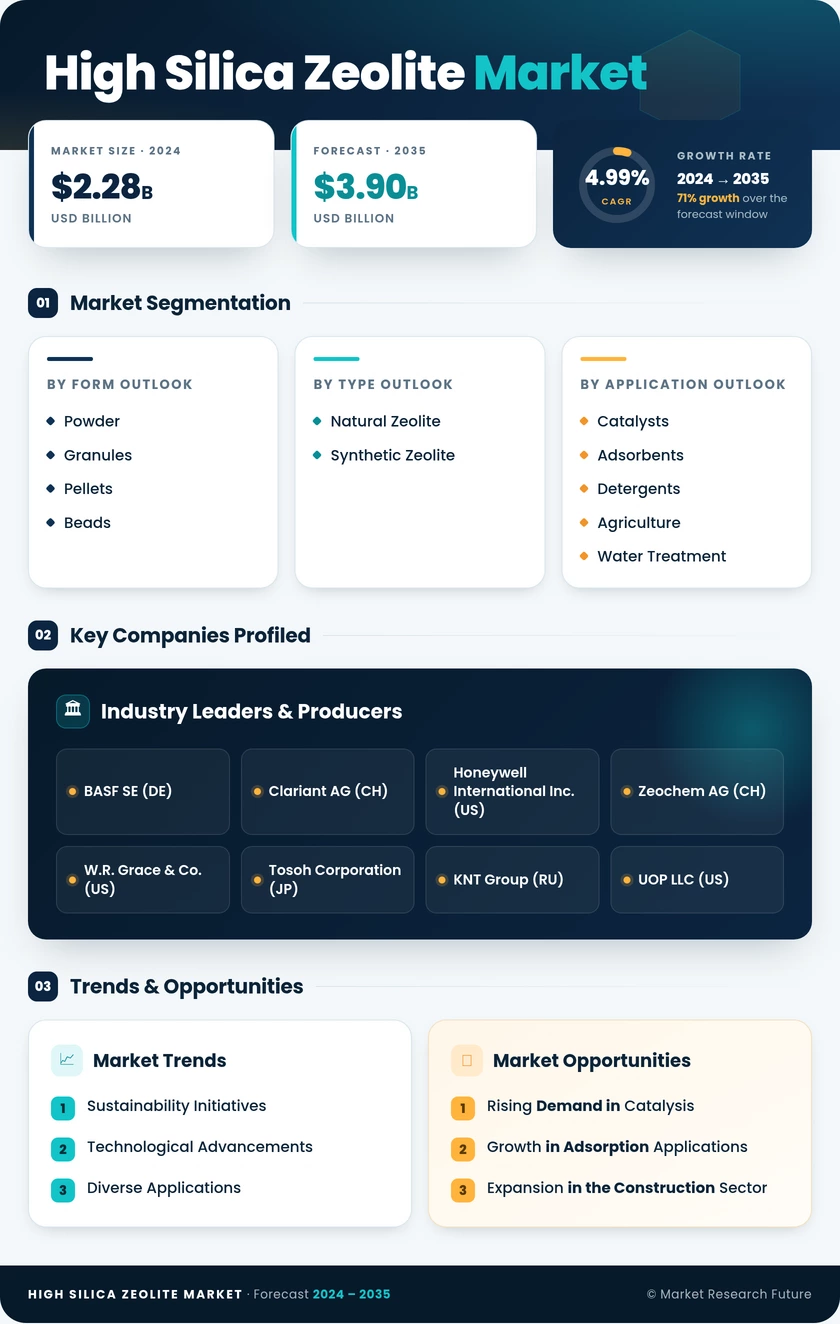High Silica Zeolite Market Research Report - Global Forecast by 2035 Infographic