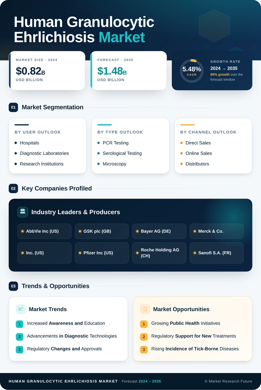 Human Granulocytic Ehrlichiosis Market Research Report — Global Forecast till 2035 Infographic
