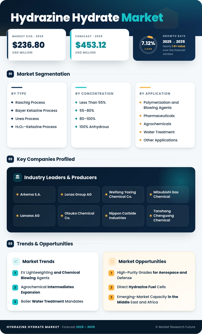 Hydrazine Hydrate Market Research Report-Forecast Till 2035 Infographic