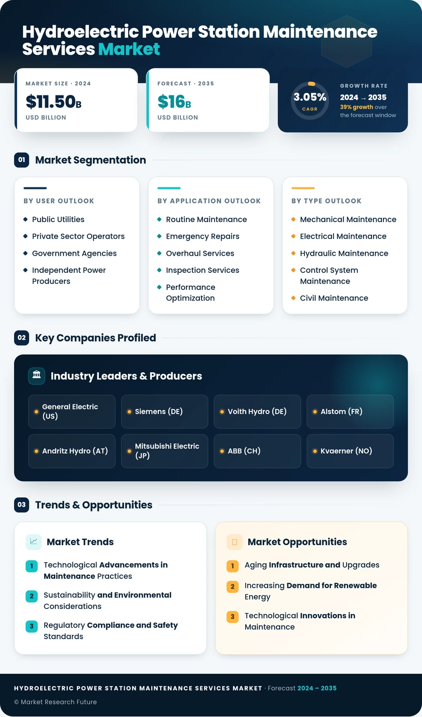 Hydroelectric Power Station Maintenance Services Market Infographic