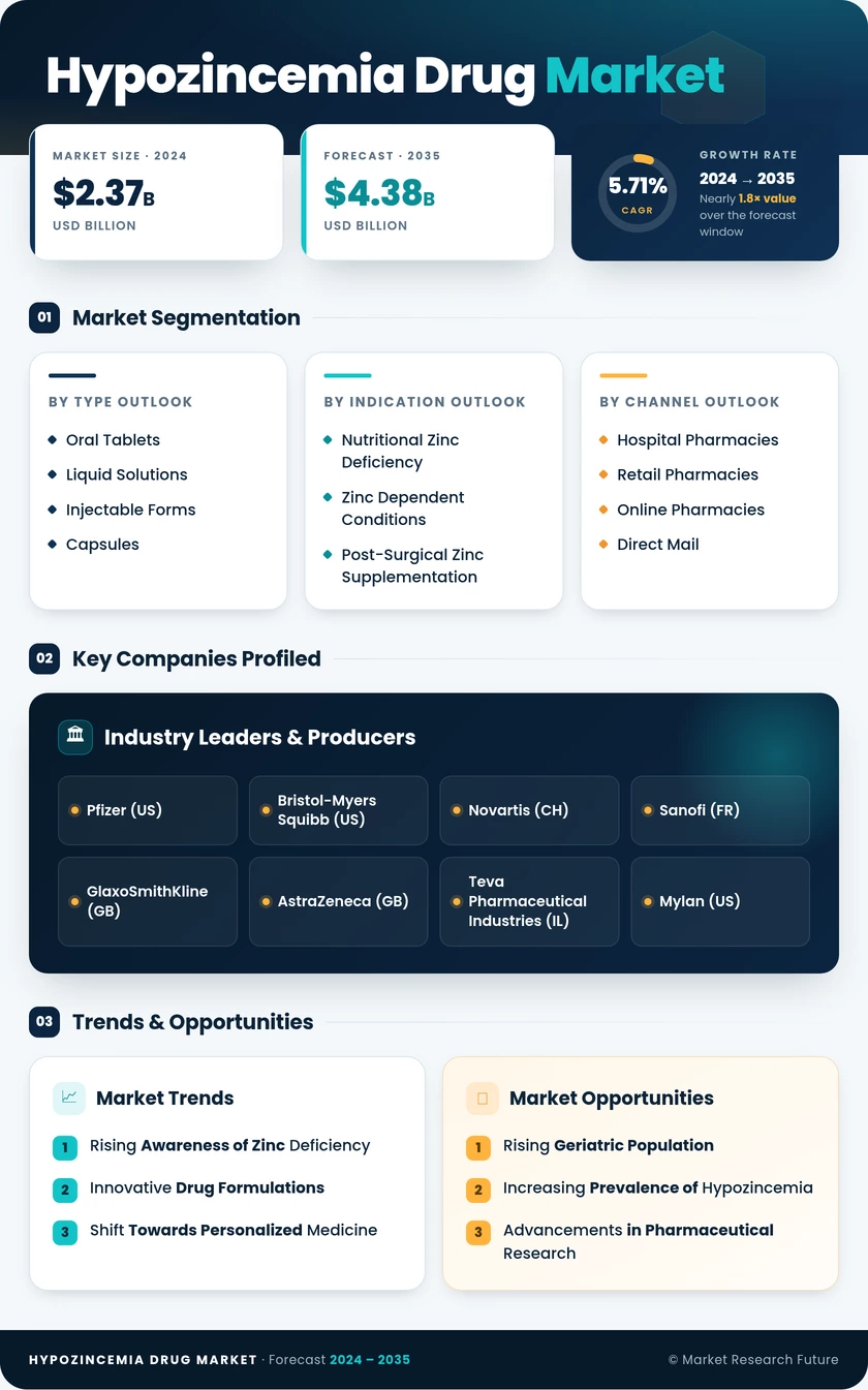 Hypozincemia Drug Market Research Report — Global Forecast till 2035 Infographic