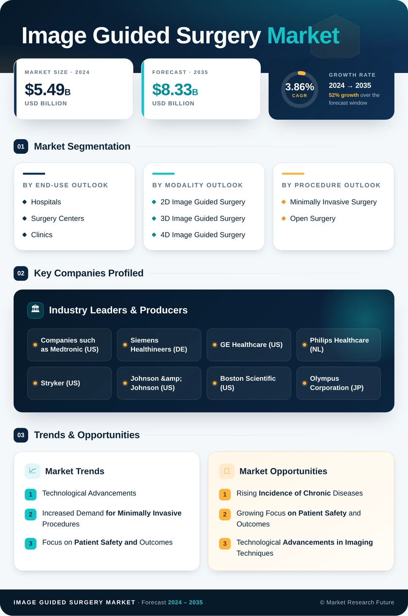 Image Guided Surgery Market Research Report — Global Forecast till 2035 Infographic