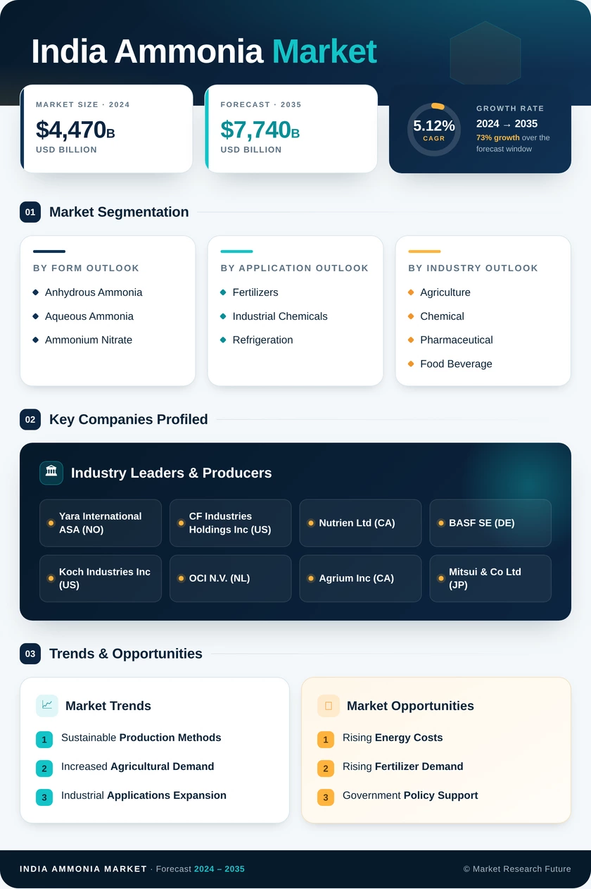 India Ammonia Market Research Report - Forecast 2035 Infographic