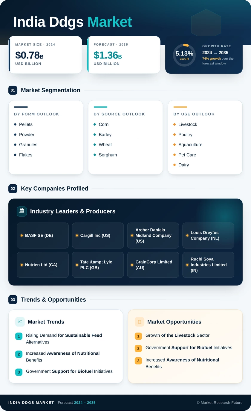 India DDGS Market Research Report — Forecast till 2035 Infographic
