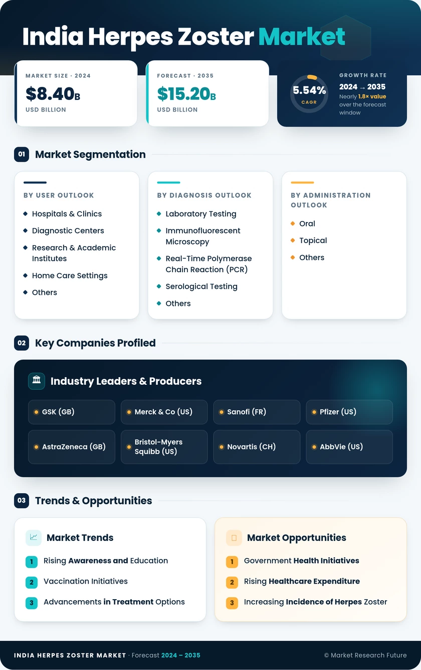 India Herpes Zoster Market Research Report-Forecast to 2035 Infographic