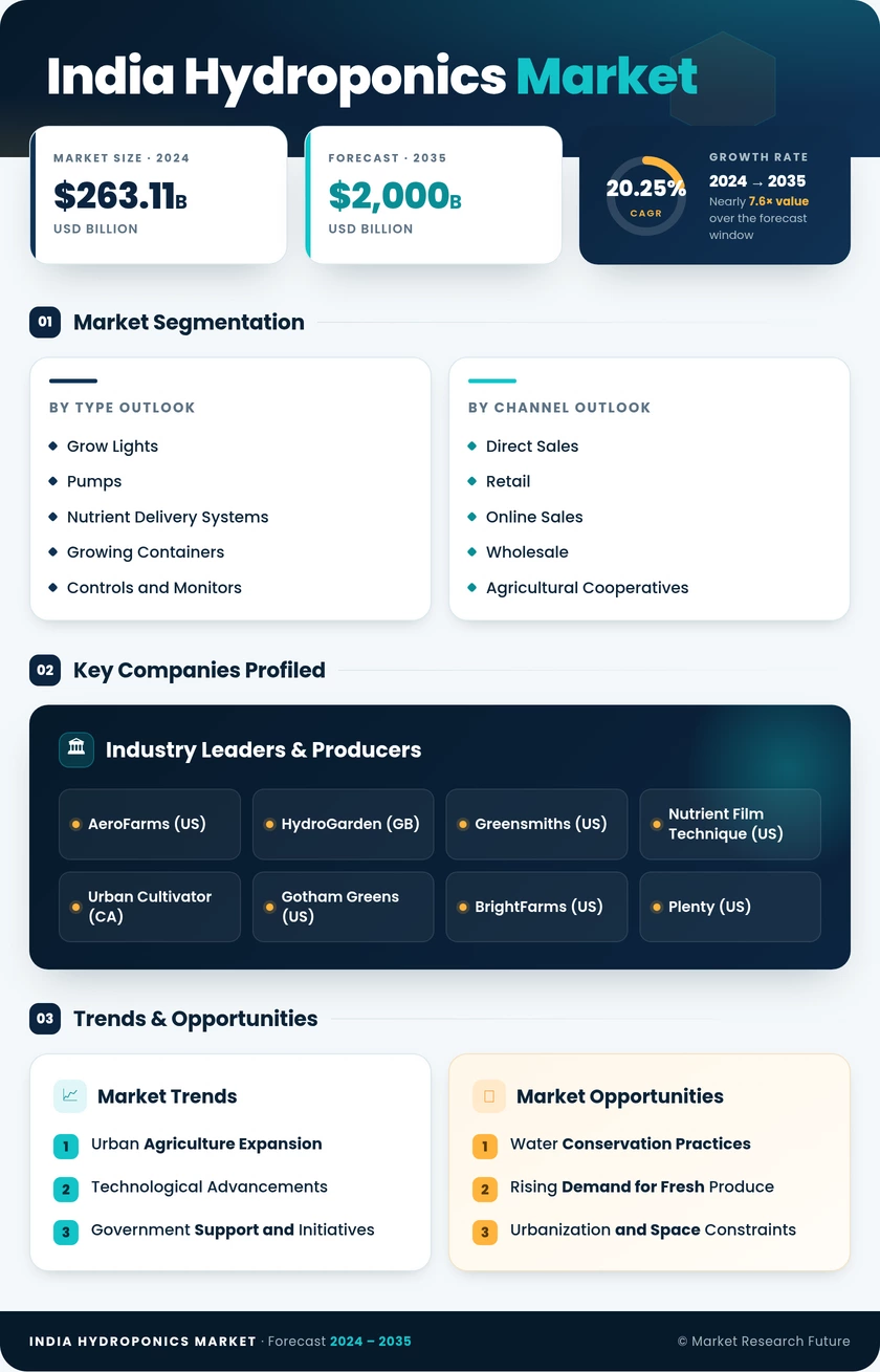 India Hydroponics Market Research Report- Forecast to 2035 Infographic