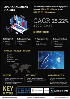 API Management Market