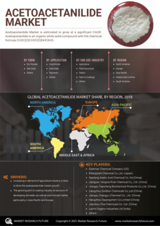 Acetoacetanilide Market
