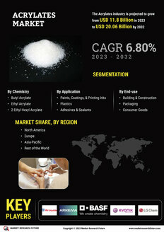 Acrylates Market

