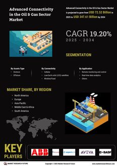 Advanced Connectivity in the Oil and Gas Sector Market