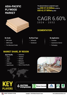 Asia Pacific Plywood Market
