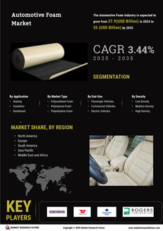 Automotive Foam Market
