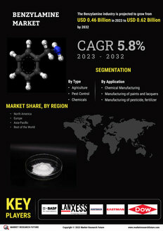 Benzylamine Market