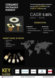 Ceramic Package Market