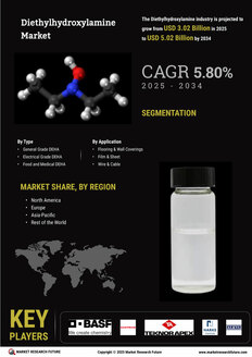 Diethylhydroxylamine Market