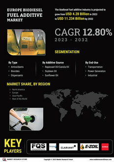 Europe Biodiesel Fuel Additive Market
