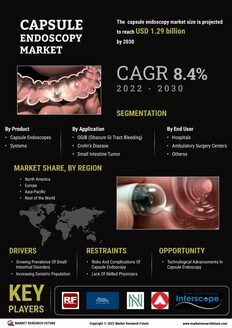 Capsule Endoscopy Market