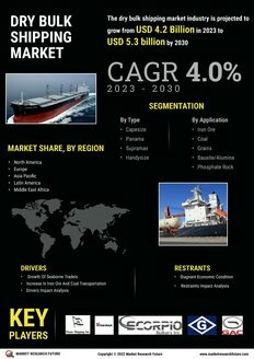 Dry Bulk Shipping Market