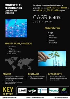 Industrial Fermentation Chemicals Market