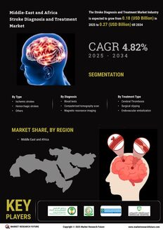 Stroke Diagnosis and Treatment Market