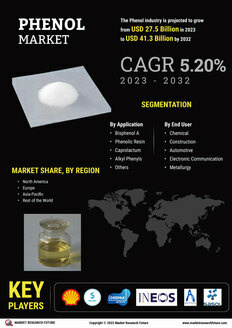 Phenol Market