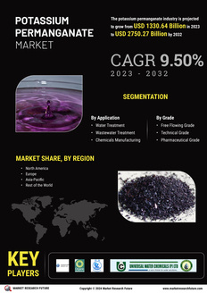 Potassium Permanganate Market
