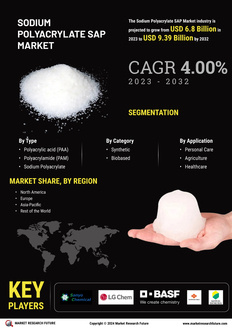 Sodium Polyacrylate SAP Market