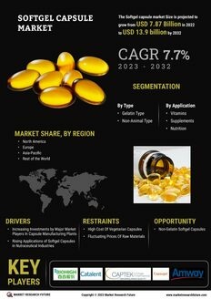 Softgel Capsule Market