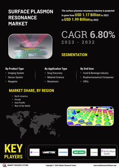 Surface Plasmon Resonance Market
