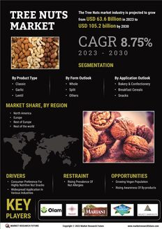 Tree Nuts Market