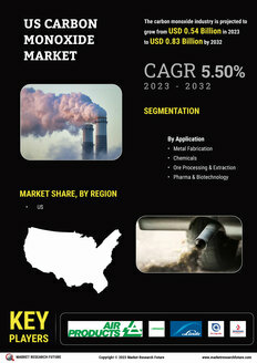 US Carbon Monoxide Market