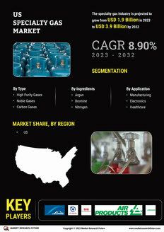 US Specialty Gas Market 
