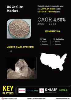 US Zeolite Market 
