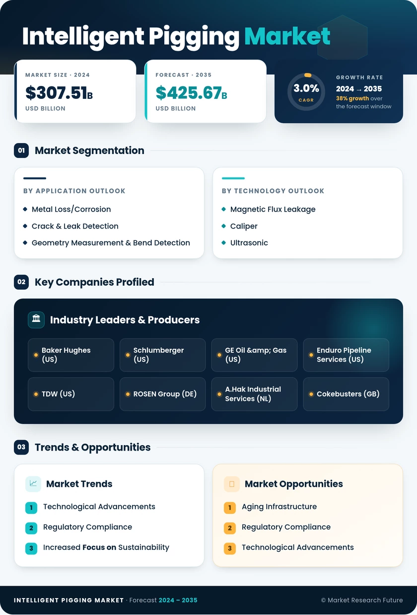 Intelligent Pigging Market Research Report – Global Forecast till 2035 Infographic