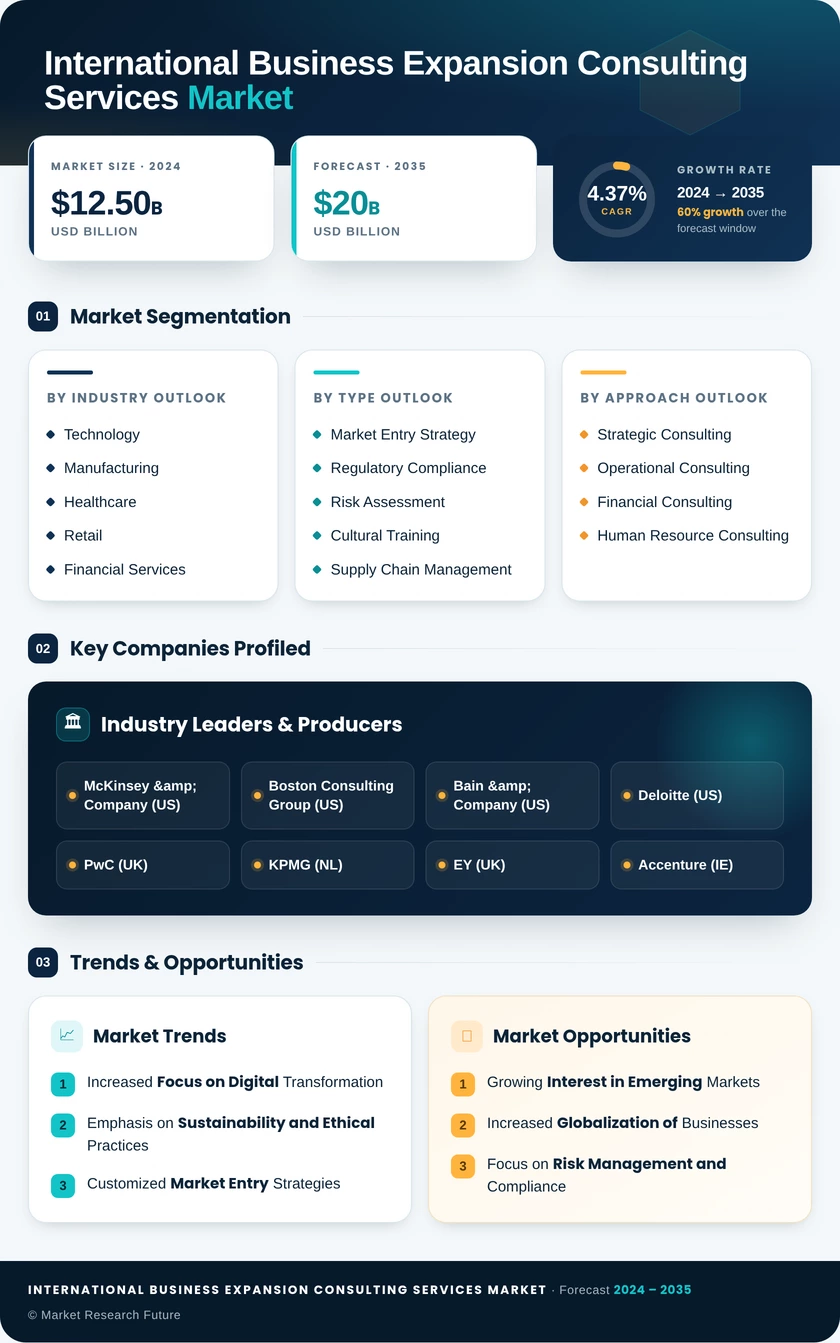 International Business Expansion Consulting Services Market Infographic