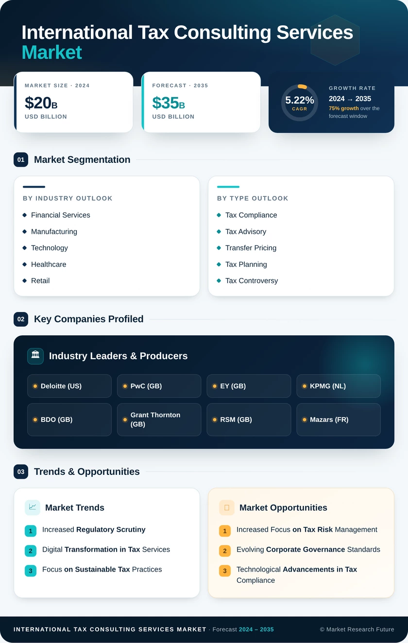 International Tax Consulting Services Market Infographic