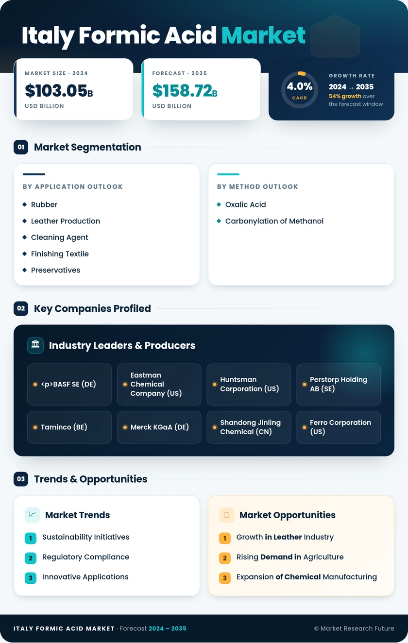Italy Formic Acid Market Research Report- Forecast to 2035 Infographic