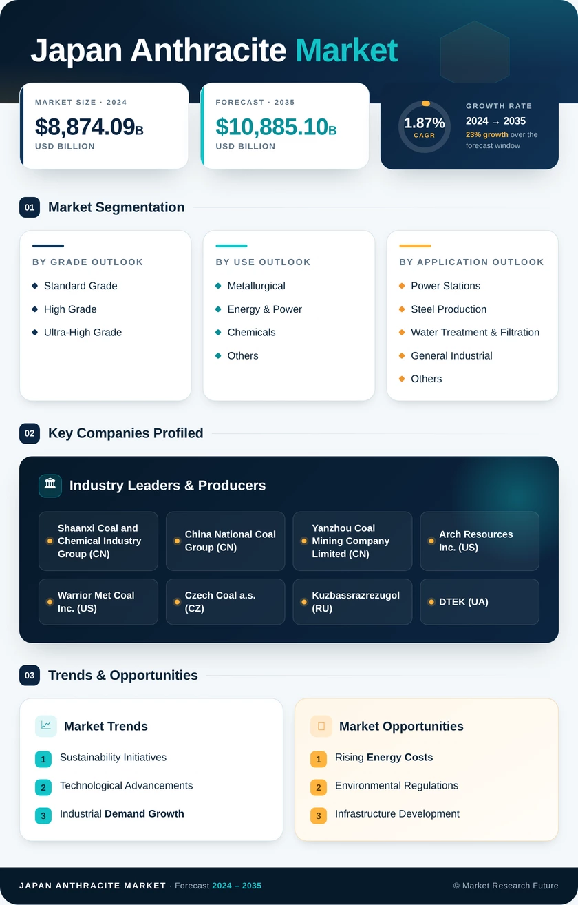 Japan Anthracite Market Research Report — Forecast till 2035 Infographic