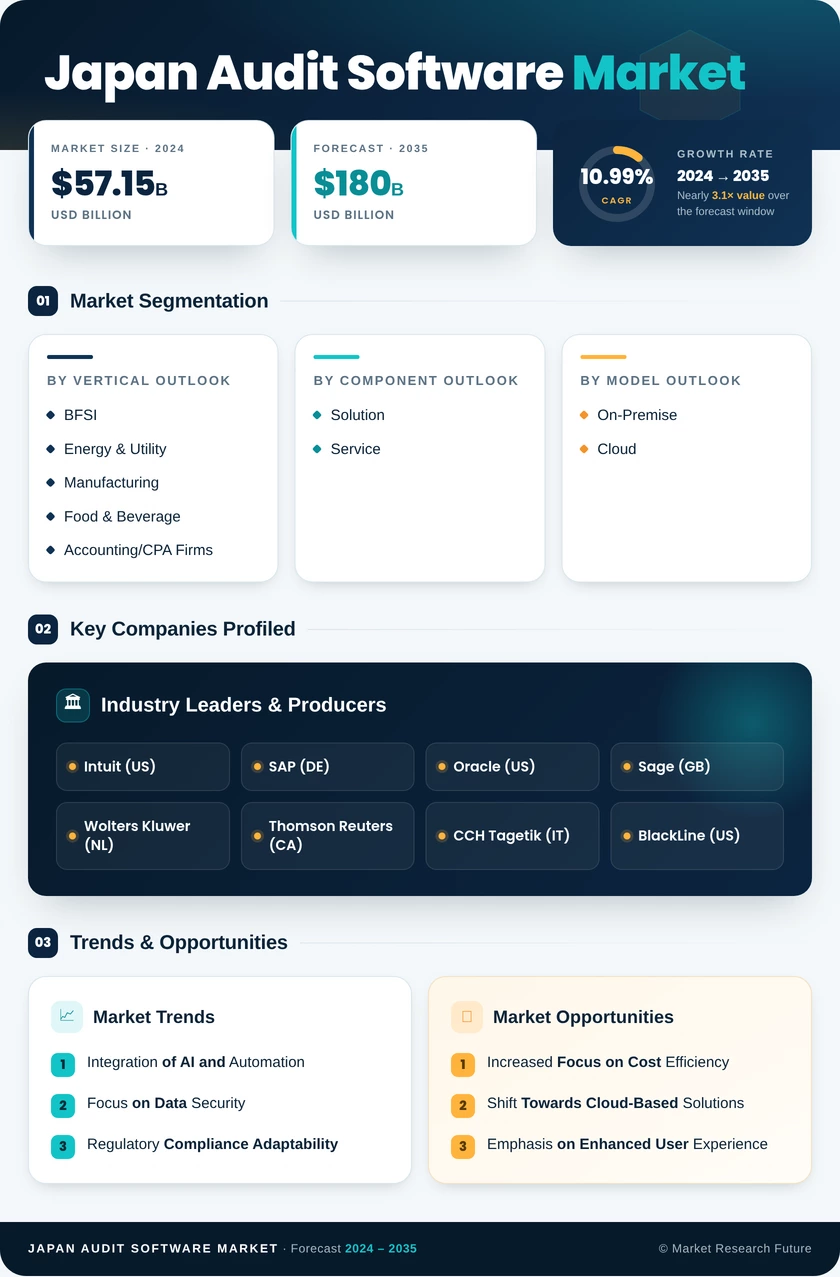 Japan Audit Software Market Research Report- Forecast to 2035 Infographic