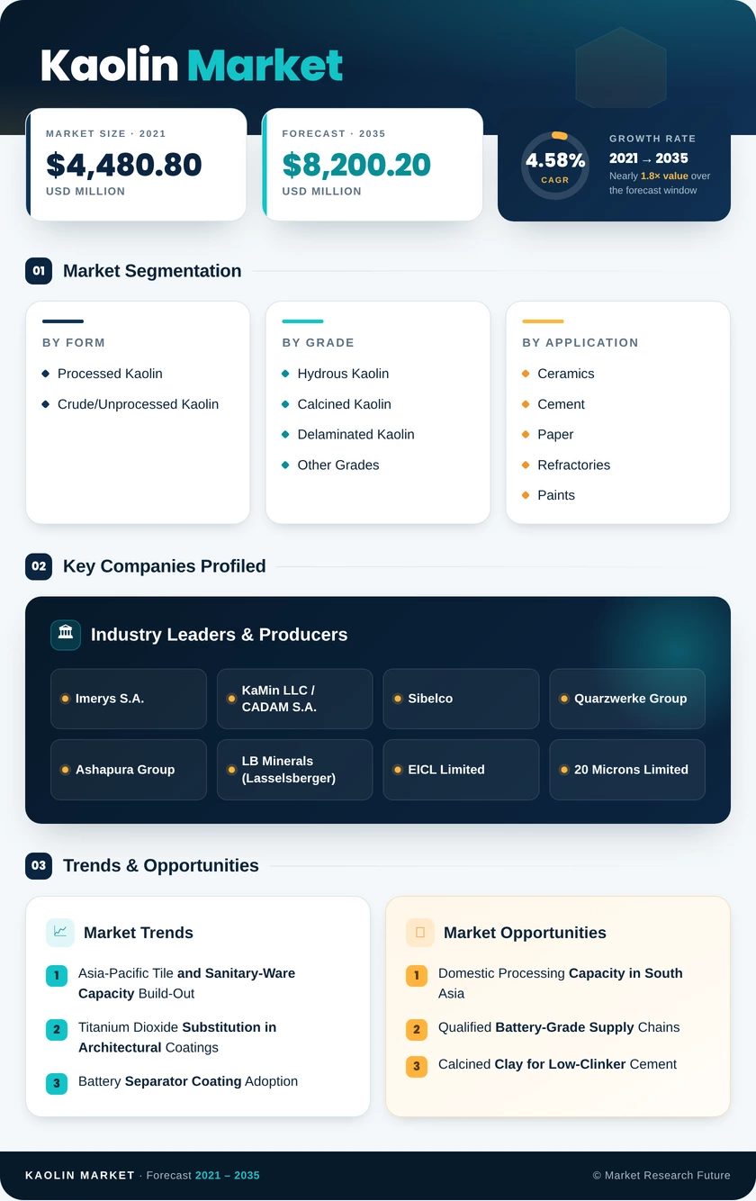 Kaolin Market Research Report - Global Forecast till 2035 Infographic