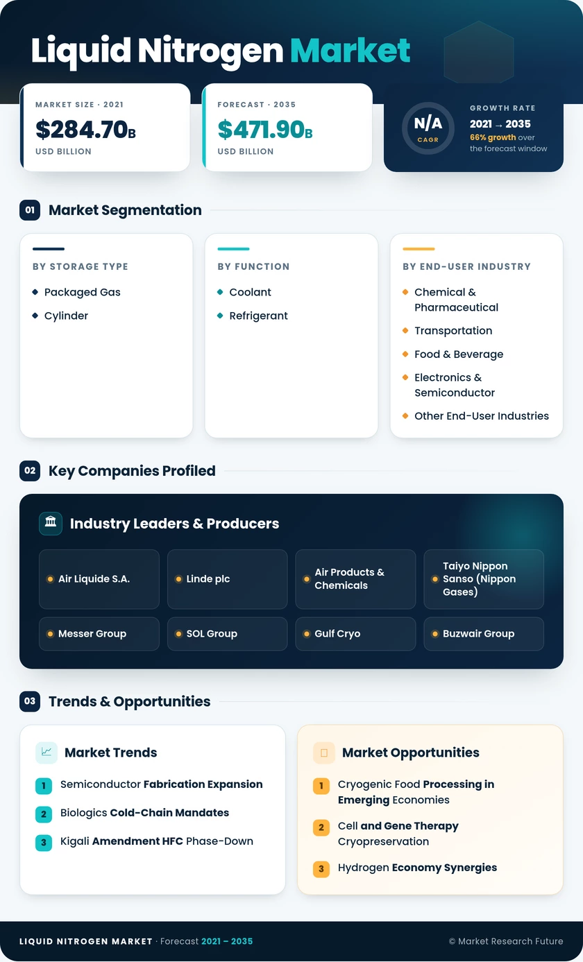 Liquid Nitrogen Market Research Report - Forecast till 2035 Infographic