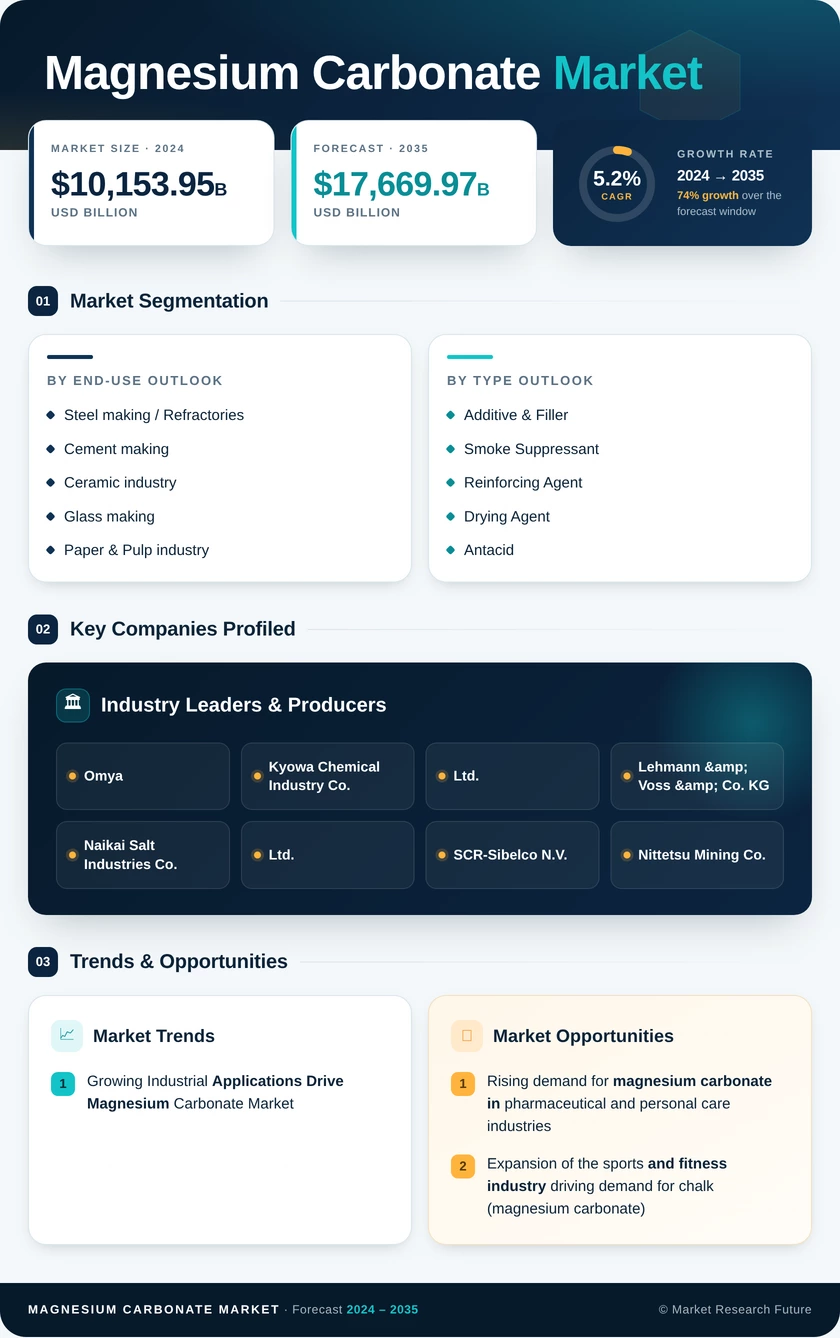 Magnesium Carbonate Market Research Report - Forecast Till 2035 Infographic