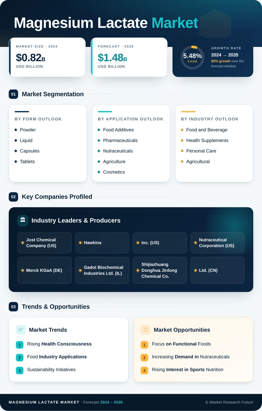 Magnesium Lactate Market Research Report — Global Forecast till 2035 Infographic