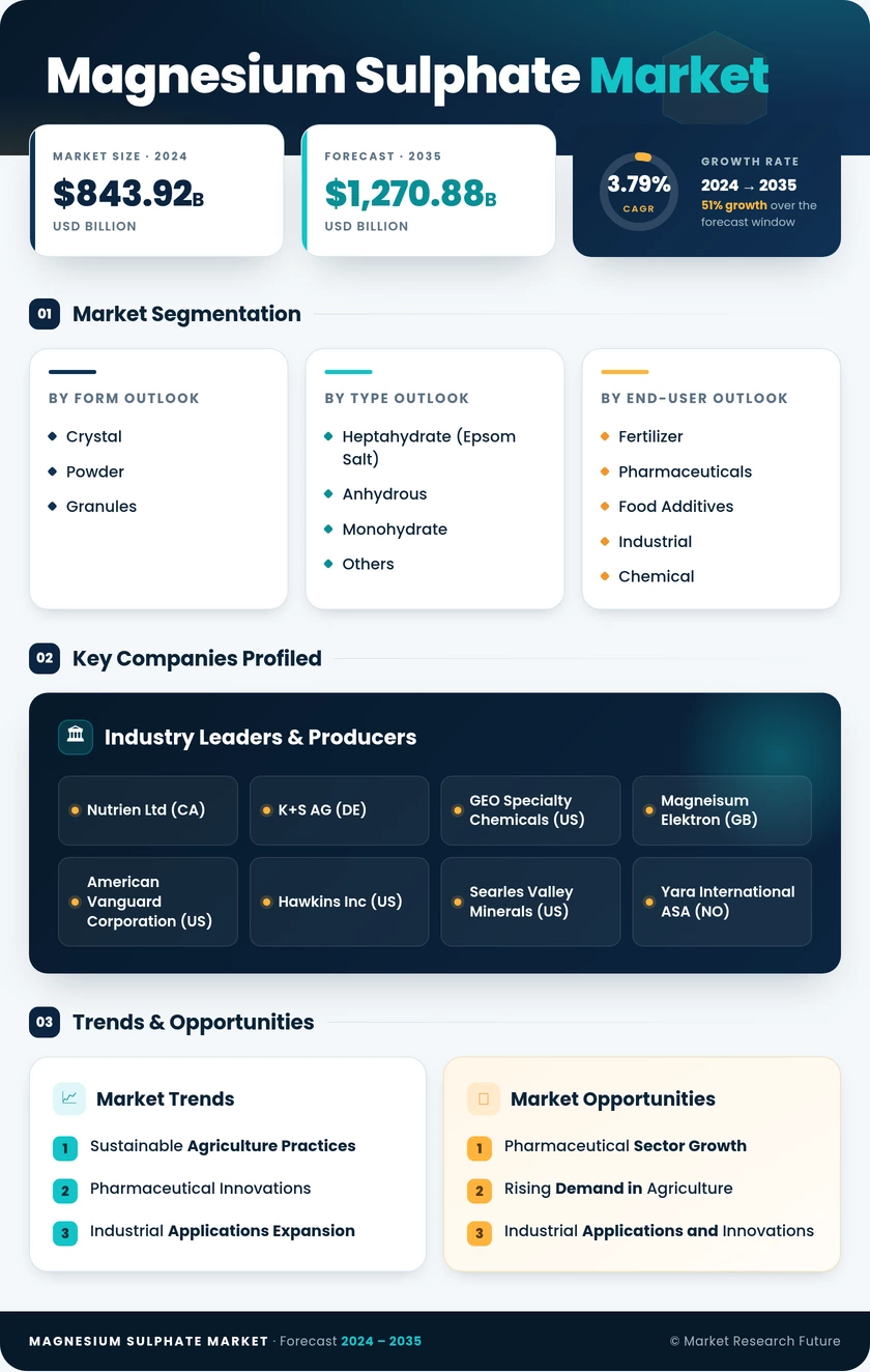 Magnesium Sulfate Market Research Report – Forecast till 2035 Infographic