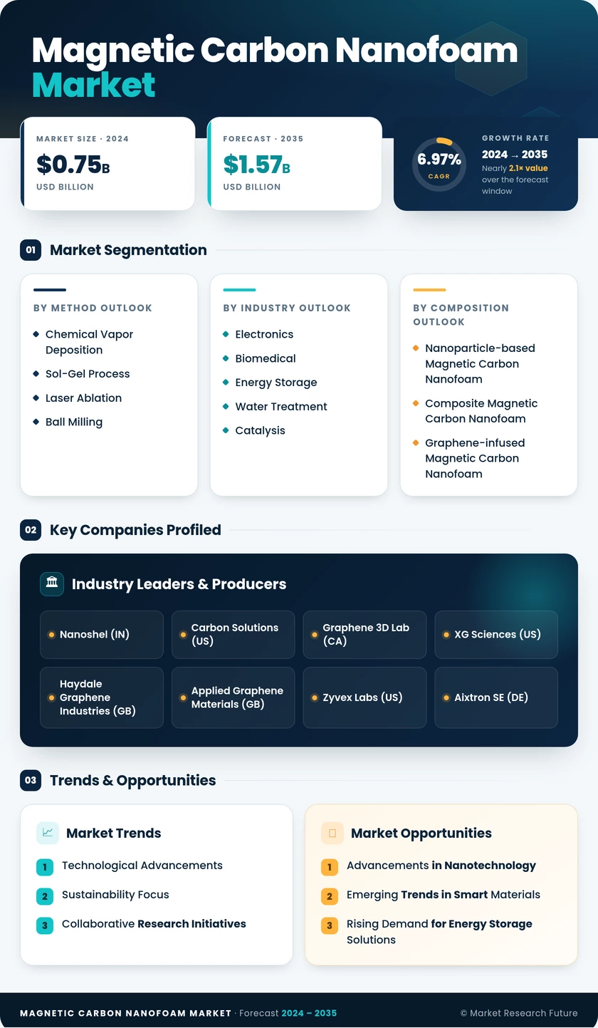 Magnetic Carbon Nanofoam Market Research Report — Global Forecast till 2035 Infographic