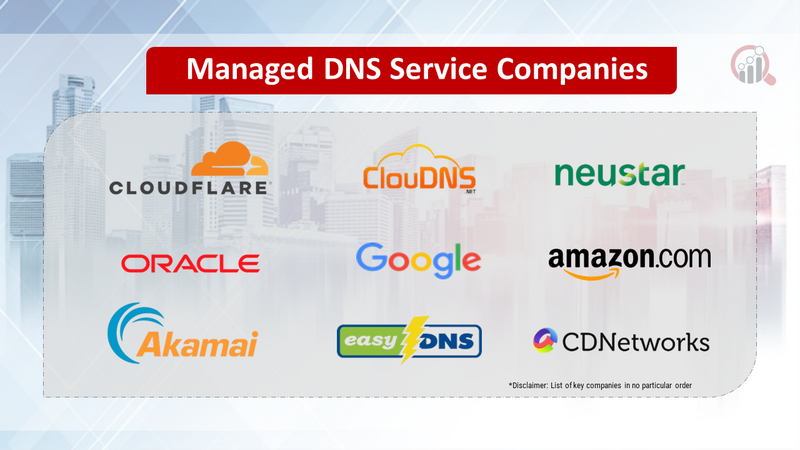 managed DNS service Companies