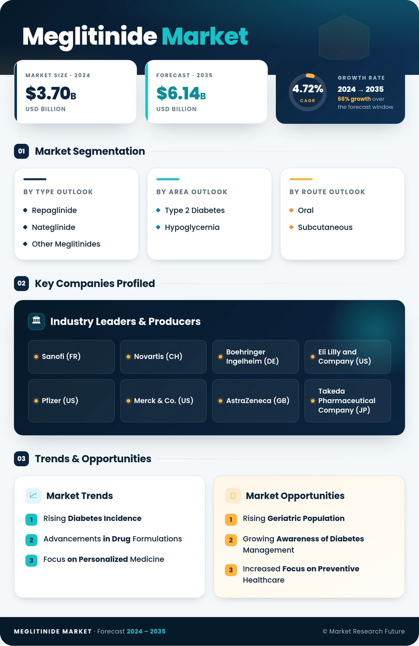 Meglitinide Market Research Report - Forecast Till 2035 Infographic