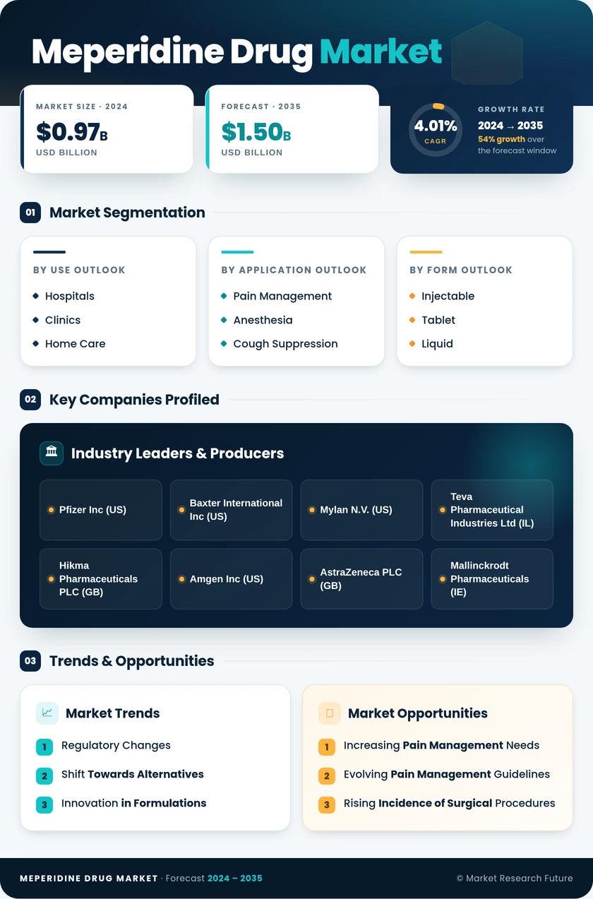 Meperidine Drug Market Research Report — Global Forecast till 2035 Infographic